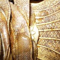 20 - Rest On The Toes & Laces....JPG