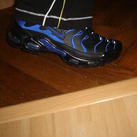 DSC03785 (Large).JPG