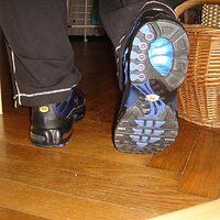 DSC03786 (Large).JPG