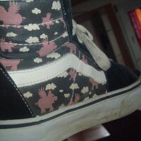 vans218.jpg
