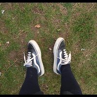 vans433.jpg