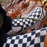 vans012 (255).jpg