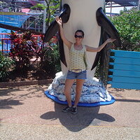 IMG003.jpg