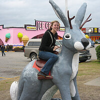 IMG004.jpg
