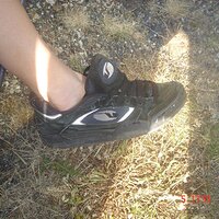 old vans.JPG