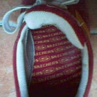 skechers_1.JPG
