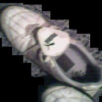puma_2.JPG