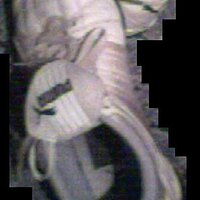 puma_3.JPG