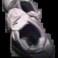 puma_4.JPG