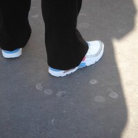 DSC02971 (Large).JPG