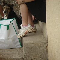 DSC03320 (Large).JPG