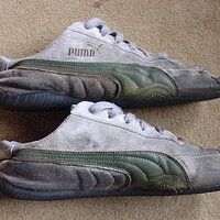puma2.jpg