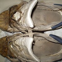 7 - Beautifiul....JPG