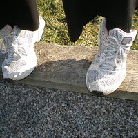 asicsn4.JPG