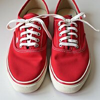 pikaso_texttoimage_a-pair-of-red-canvas-womens-sneakers-The-sneakers-.jpeg
