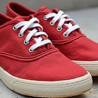 pikaso_texttoimage_Side-a-pair-of-red-canvas-womens-sneakers-The-snea-2.jpeg