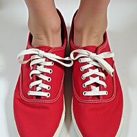 pikaso_texttoimage_a-pair-of-red-canvas-womens-sneakers-The-sneakers--2.jpeg