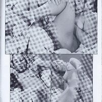 Honey - Young Ones #1 (6).jpg