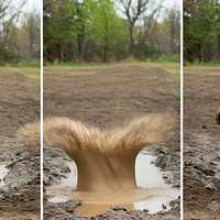 354530888557338626.mp4