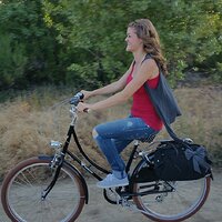 dutch-bike-trees-2.jpg