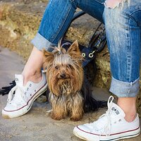 Pinterest - Sockless Sneakers (51).jpg