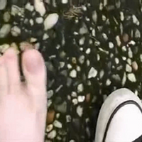 One Shoe Outside.mp4