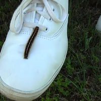 Eat my shoe_ - YouTube [720p].mp4