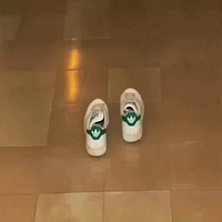 Walking on a Dream with Adidas shoes.mp4