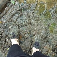 Flickr - Barefeet Shoes (11).jpg