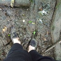 Flickr - Barefeet Shoes (12).jpg