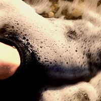 Flickr - Barefeet Shoes (37).jpg