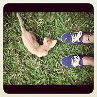 Flickr - Barefeet Shoes (72).jpg