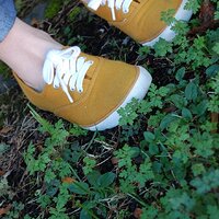 Flickr - Barefeet Shoes (105).jpg