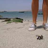 Flickr - Barefeet Shoes (264).jpg