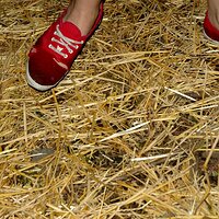 Flickr - Barefeet Shoes (266).jpg
