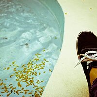 Flickr - Barefeet Shoes (291).jpg