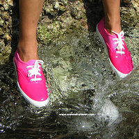DSCN6662a.jpg