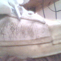 Picture 503.jpg