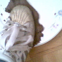 Picture 504.jpg