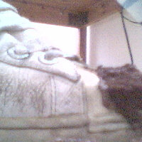 Picture 507.jpg