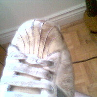 Picture 508.jpg
