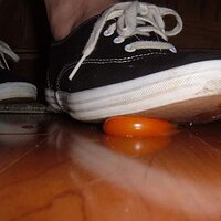 2004_0118Image0080.JPG