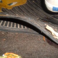 Dirty keds to the floor 029.jpg