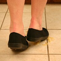 IMG_9914.JPG