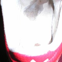 Loaded14.JPG