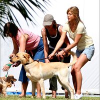 aniston_dog_040108_020.jpg