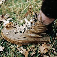 converse.jpg