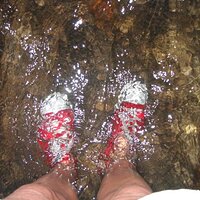 redshoes.jpg