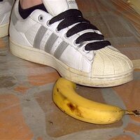 SV300101.JPG