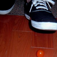 2004_0118Image0074.JPG